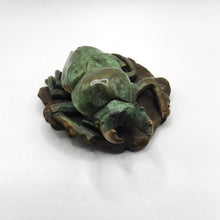 Load image into Gallery viewer, Rainbow Stag Beetle – Limited Edition 2/50 - Silvio Apponyi OAM