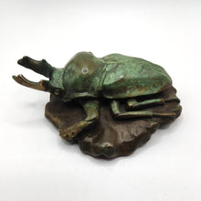 Load image into Gallery viewer, Rainbow Stag Beetle – Limited Edition 2/50 - Silvio Apponyi OAM