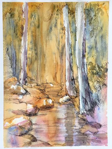 Pen and Wash, Watercolour Course, with Robin Hicks; 19 April  - 17 May; 10am - 1pm