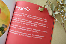 Load image into Gallery viewer, Australian Animal A-Z Book - Zinia King