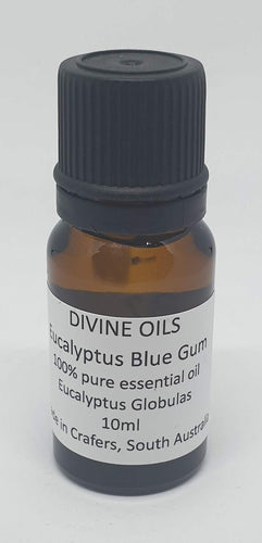 Eucalyptus Blue Gum 100% Essential Oil 10ml - Divine Oils