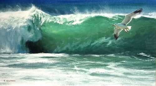 Masterclass Sunset Seascape Painting Demonstration with Trevor Newman: 29  November 1.30pm -4pm