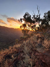 Load image into Gallery viewer, One Day Watercolour Workshop: Flinders Ranges Morning Light, with Alan Ramachandran
