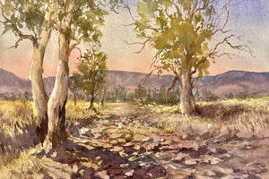 Afternoon shadows - Watercolour - Robin Hicks
