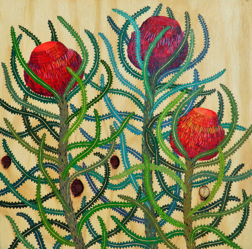Limited Edition Print - Banksias - Irina Nazarova