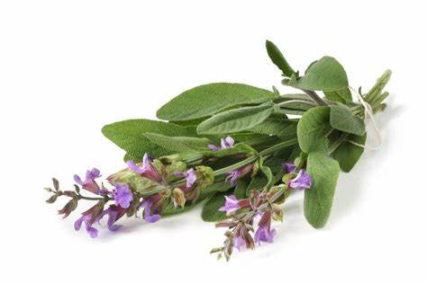 Clary Sage 100% Essential Oils 10ml - Divine Oils