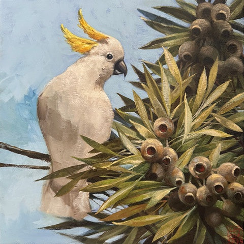 Cocky Study 2 - Oil and enamel paint  - Lisa Losada