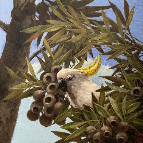 Cocky Study 1 - Oil and enamel paint  - Lisa Losada