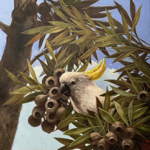 Cocky Study 1 - Oil and enamel paint  - Lisa Losada