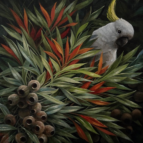 Cocky Study 3 -Oil and enamel paint - Lisa Losada