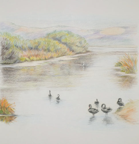 Greeting Card - Coorong shallows - Erica McNicol