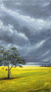 Canola, before the storm -  acrylic on stretched canvas - Tracey Vale