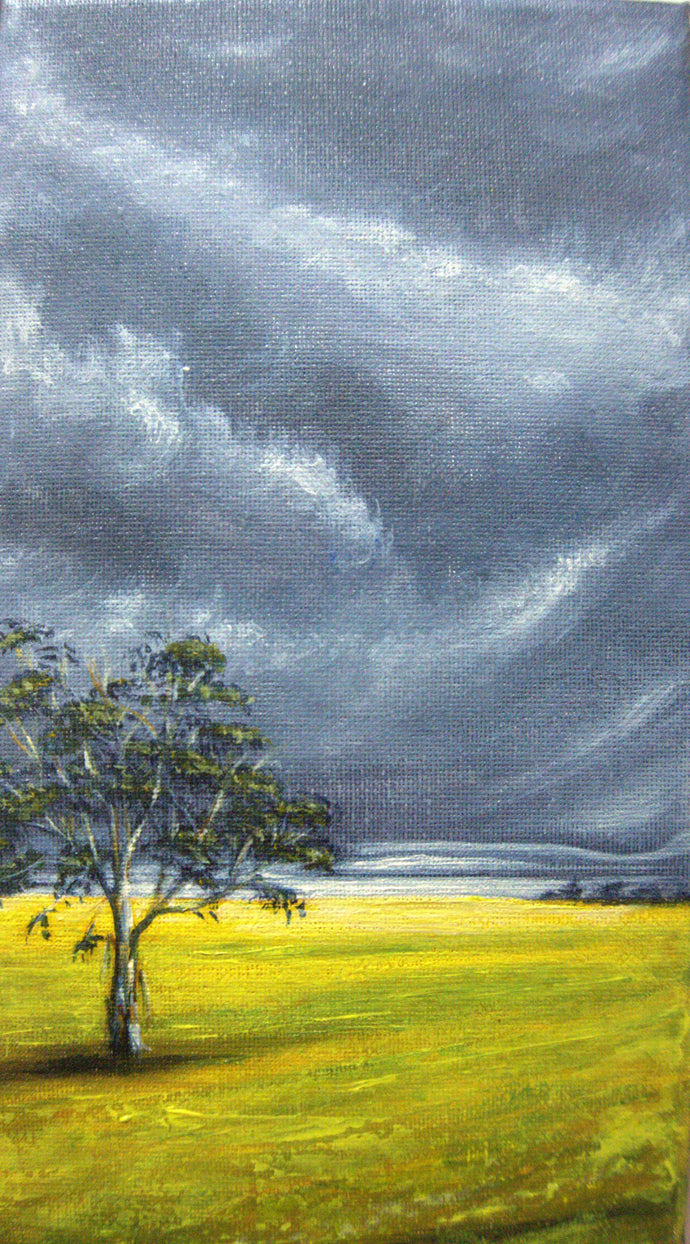 Canola, before the storm -  acrylic on stretched canvas - Tracey Vale
