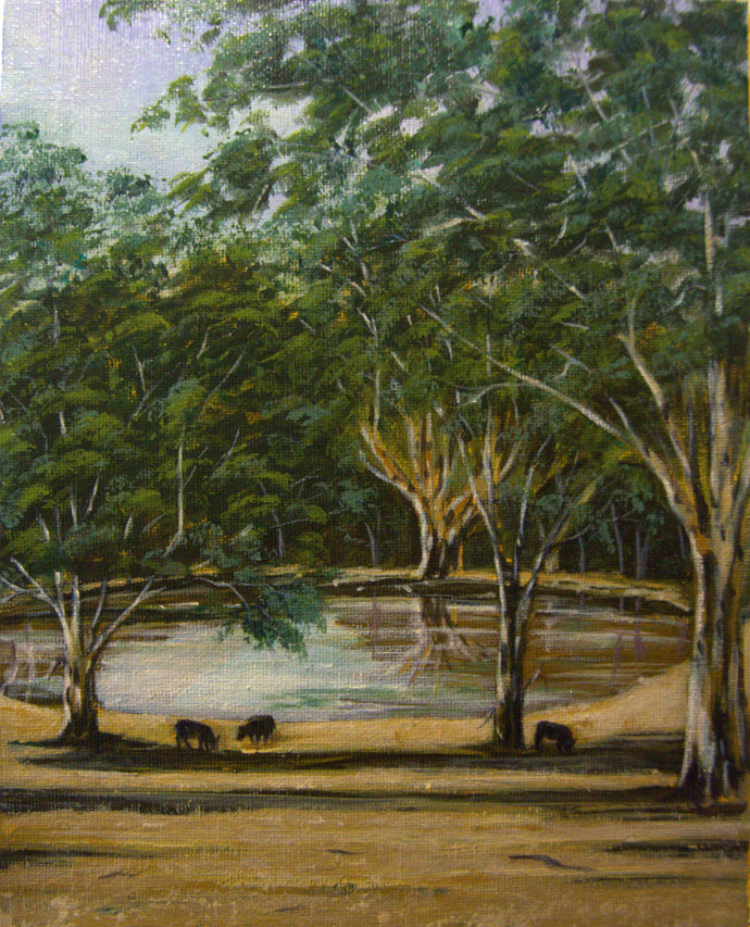 Late afternoon, Kangarilla- acrylic on canvas - Tracey Vale