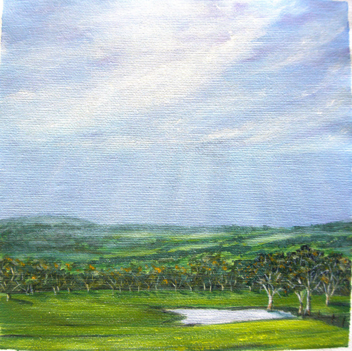 Rainclouds, Mt Barker- acrylic on canvas - Tracey Vale