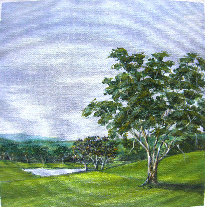 Rolling field, Mt Barker- acrylic on canvas - Tracey Vale