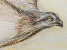 Load image into Gallery viewer, Drawing Fundamentals with Alexandra Burford: Mondays, October 12 - November 9: 10am -1pm