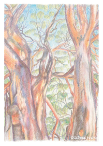 Greeting Card - Entangled trees