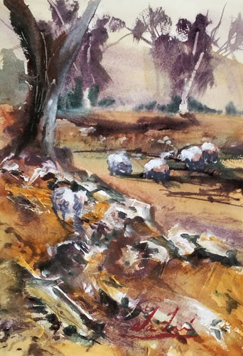 Flinders Ranges - watercolour - Alan Ramachandran