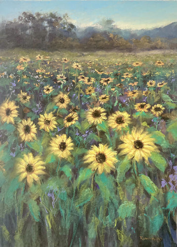 Sunflowers - Pastel - Robin Hicks