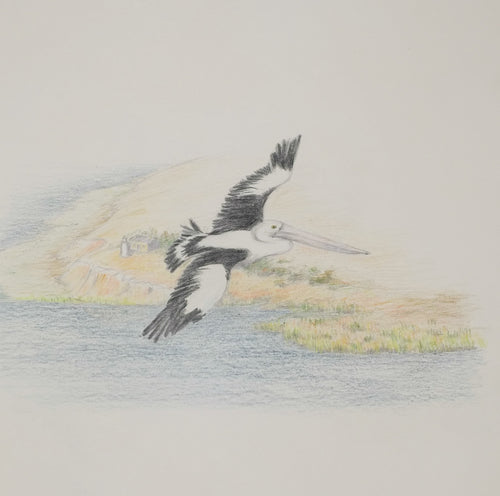 Greeting Card - Flying over Point Malcom, Narrung - Erica McNicol