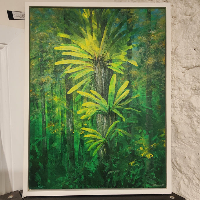 Rainforest, Lamington National Park, QLD - Acrylic on Canvas - Chris Badenoch