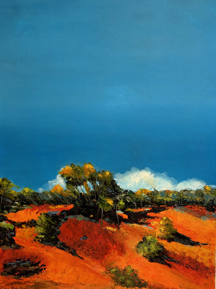 Roadside Stuart Highway 2 - oil on canvas - Rod Kirk