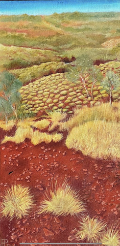 Colours of the Kimberley wilderness  - acrylic on canvas - Evelynne Richardson