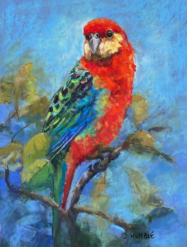 In The Tree Tops - pastel - Janette Humble