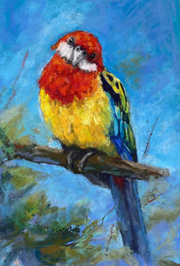 Sitting Up High - pastel - Janette Humble