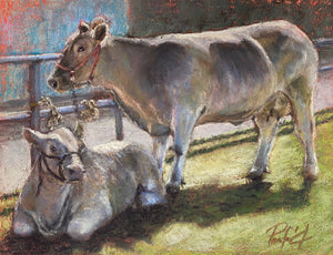 In the wings- pastel - Susan Penfold
