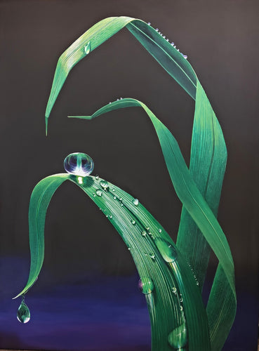 Just Grass 2 - Acrylic - Christine Alder
