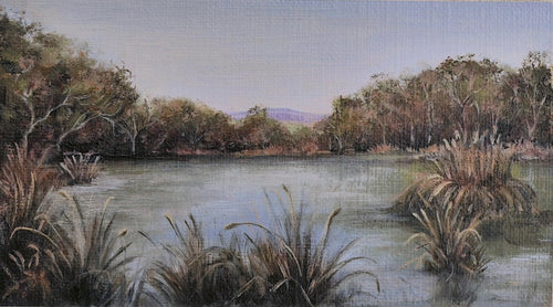 Laratinga Wetlands - Oil on card - Julianne Caville