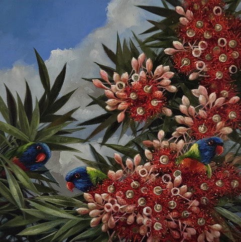 Lorikeet Study 3 - Oil and enamel paint  - Lisa Losada