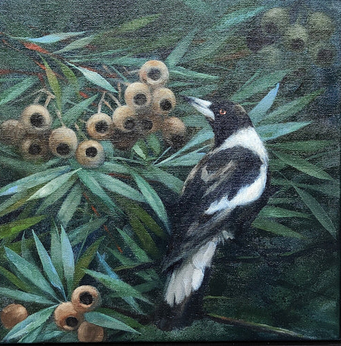 Magpie Study 4 - Oils - Lisa Losada