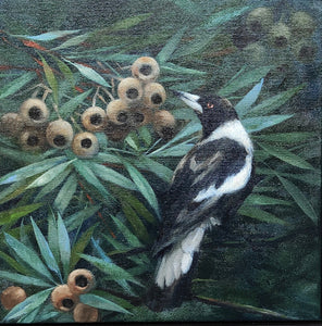 Magpie Study 4 - Oils - Lisa Losada
