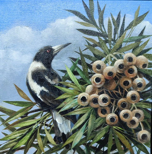 Magpie Study 5 - Oils - Lisa Losada