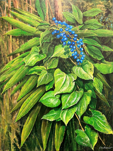 Native Ginger entwined with vine,  Springbrook National Park, Qld - Acrylic on canvas- Chris Badenoch