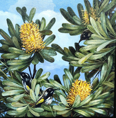 Banksia Study 4 - Oils - Lisa Losada