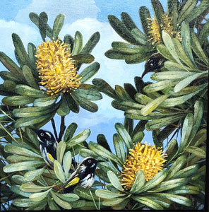 Banksia Study 4 - Oils - Lisa Losada