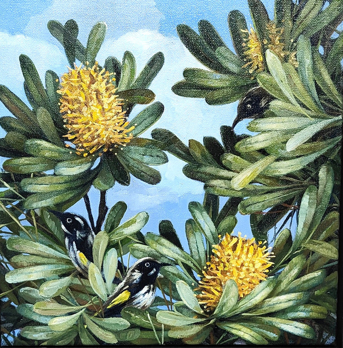 Banksia Study 4 - Oils - Lisa Losada