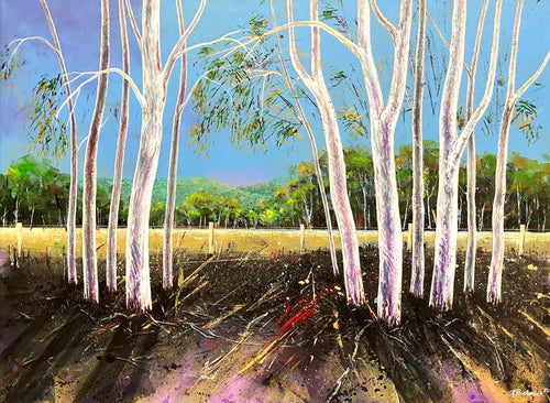 Next generation – candlebark gums,  Norton Summit, SA- Acrylic on canvas- Chris Badenoch