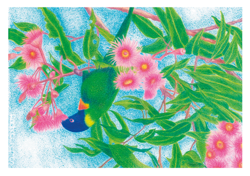 Greeting Card - Rainbow Lorikeet