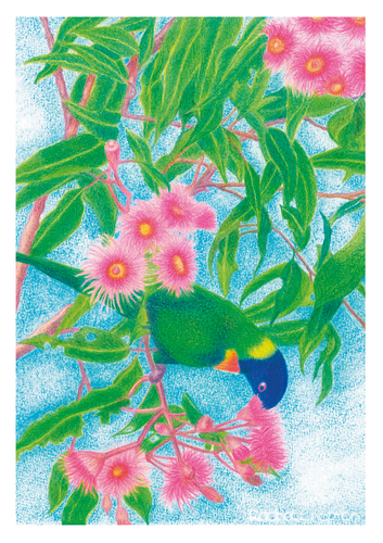 Greeting Card - Rainbow Lorikeet