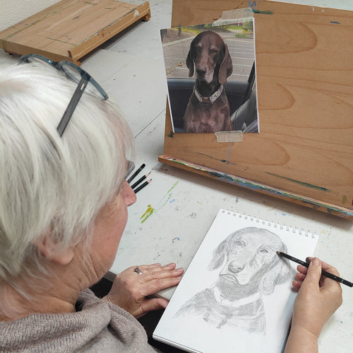 Wednesday Morning Painting with Trevor Newman; Nov 5 - Dec 3 ; 10am -1pm