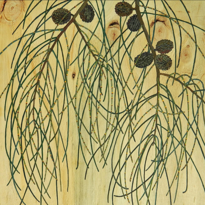 Greeting Card - Sheoak - Irina Nazarova