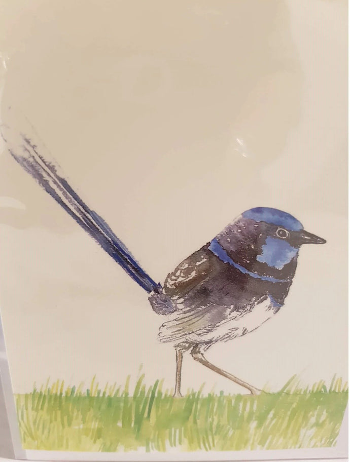Small Card - Superb Fairy Wren