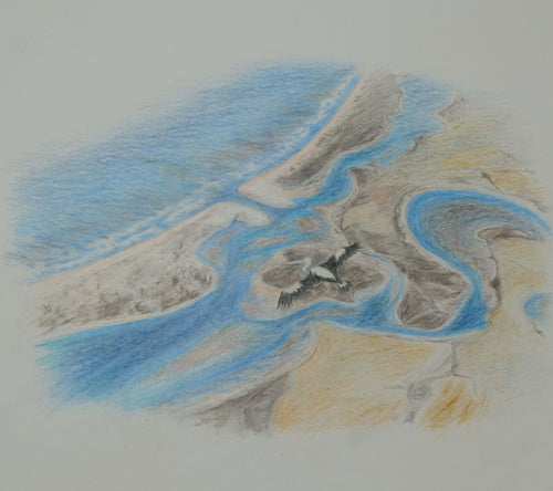 Greeting Card - The Murray mouth - Erica McNicol