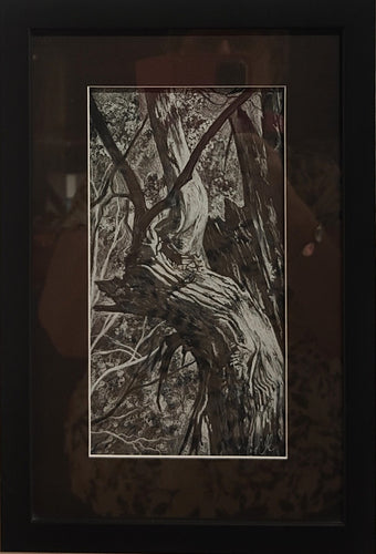 Tree Study 2 - charcoal - Julianne Caville