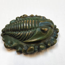 Load image into Gallery viewer, Trilobite - bronze sculpture by Silvio Apponyi